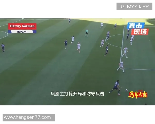 好惠灵顿凤凰迎战墨尔本胜利力争主场胜利展现球队实力